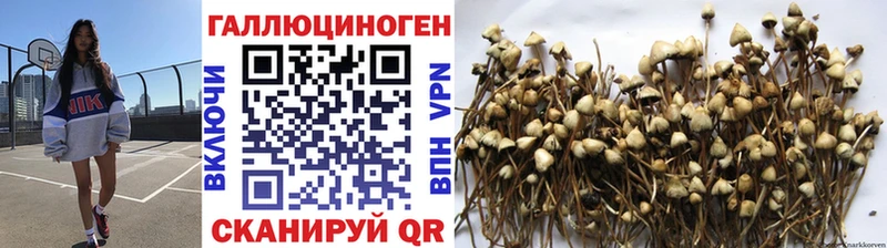 mega ONION  Абаза  Галлюциногенные грибы GOLDEN TEACHER 